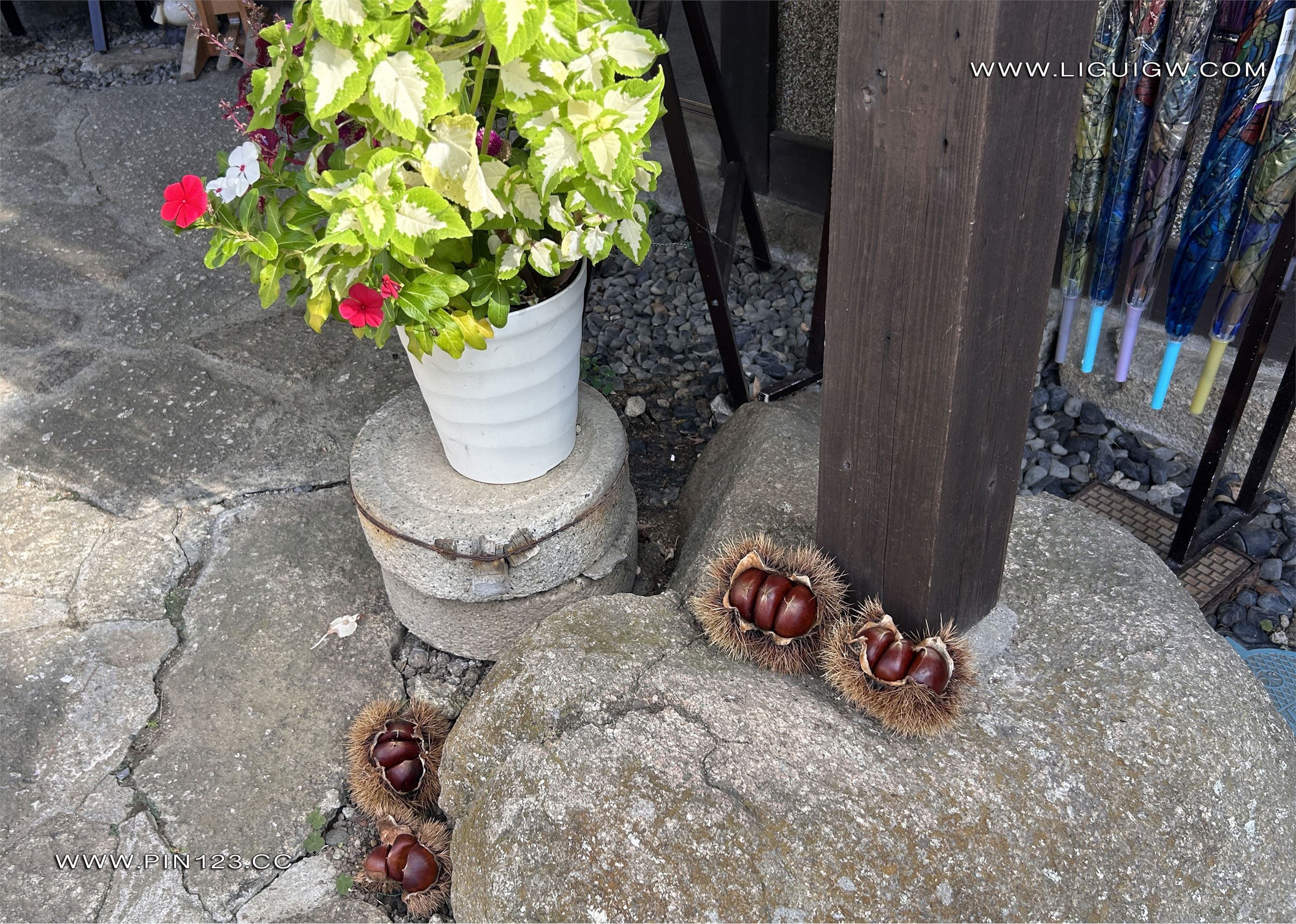 Ligui丽柜  2024.11.14 日本旅拍3 兔子